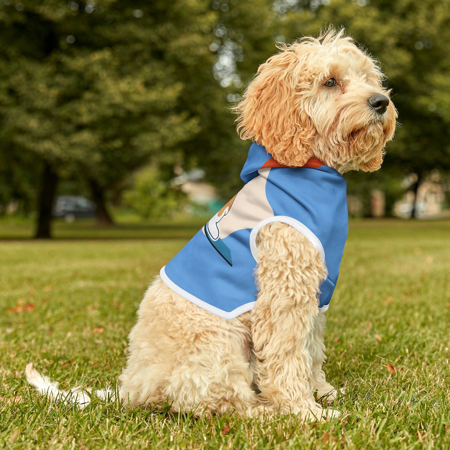 Pet Hoodie