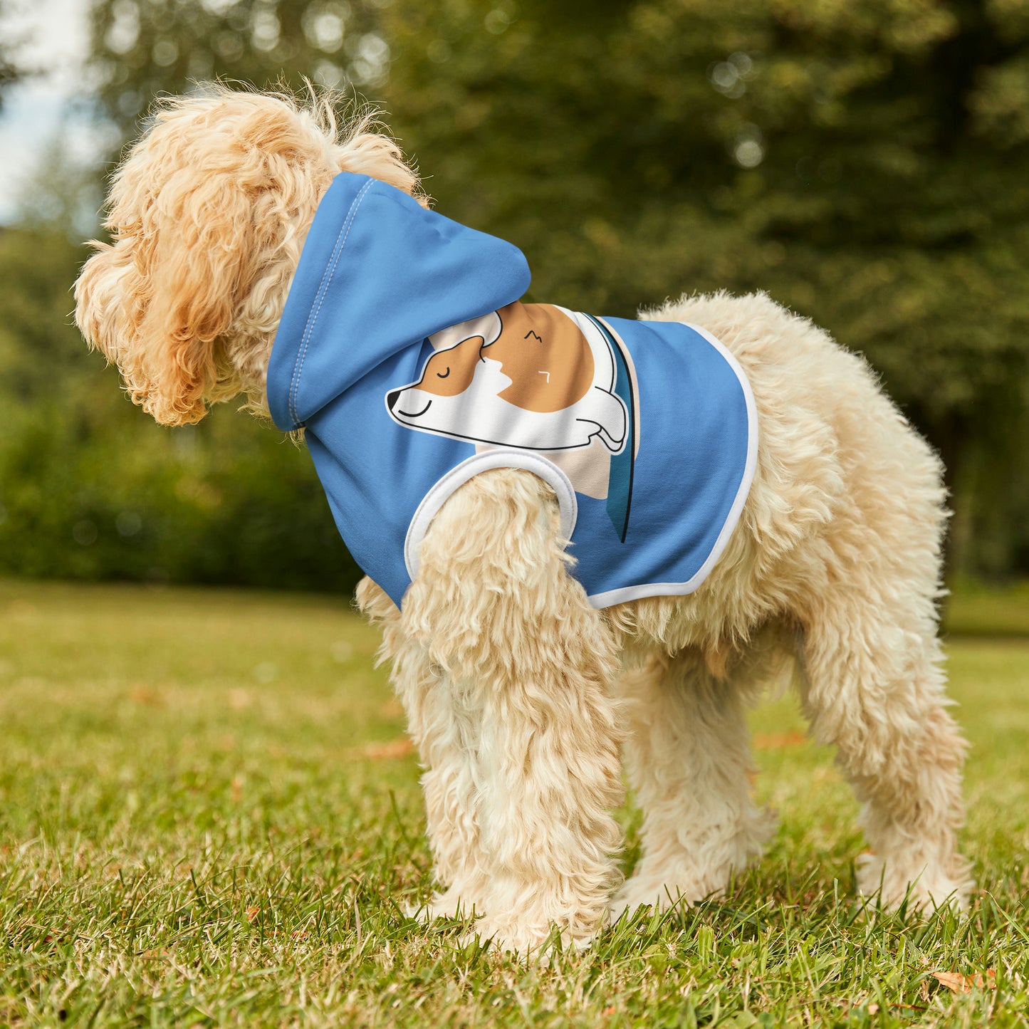 Pet Hoodie