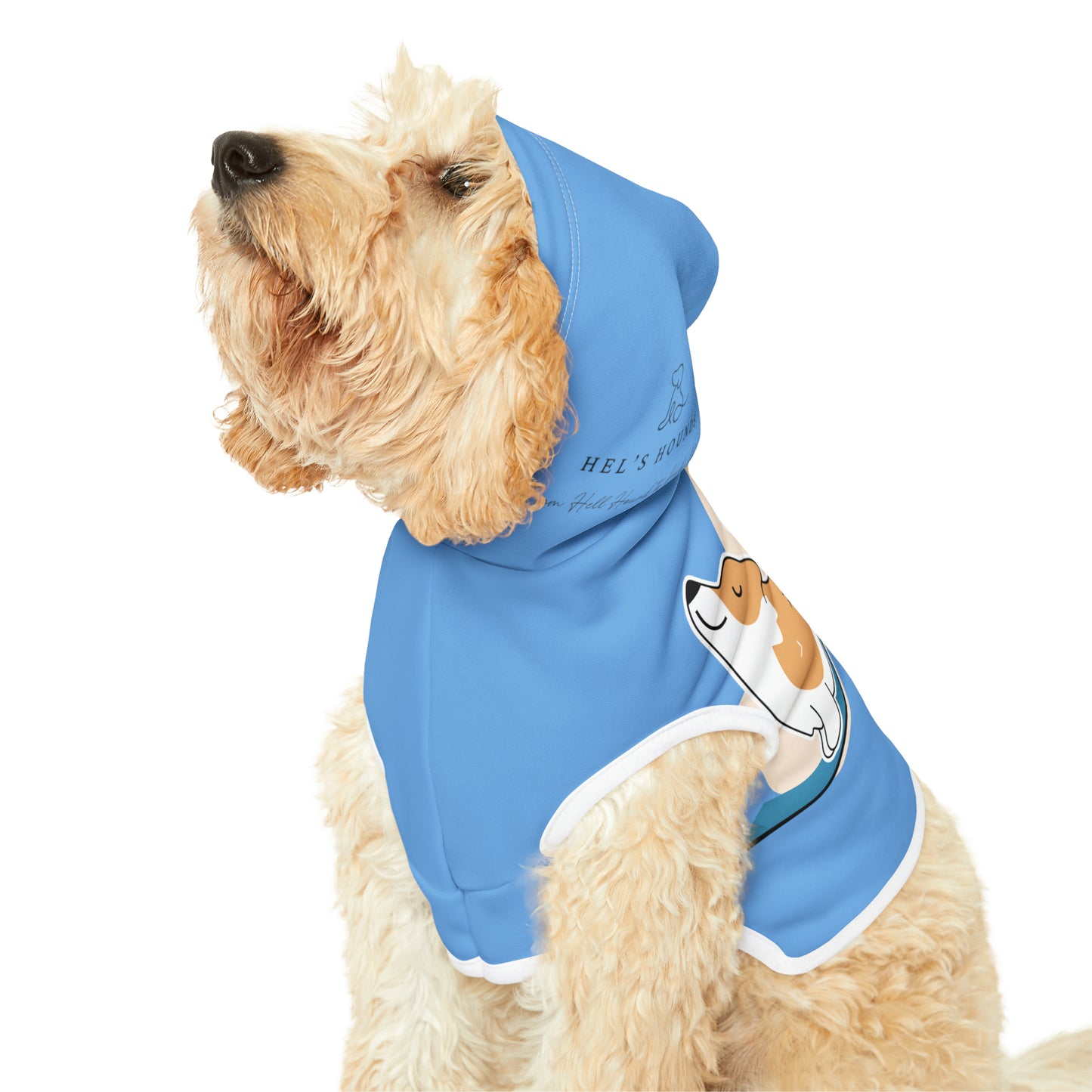 Pet Hoodie